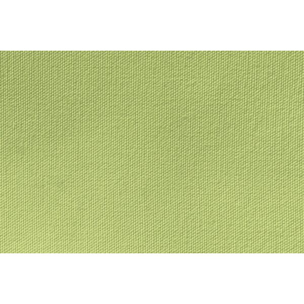 Vivacolor Lenzuolo con angoli elastici - Verde Salvia